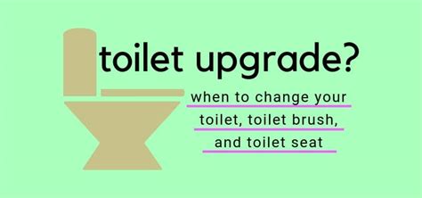 How Often Should You Change Your Toilet Toilet Brush And Seat