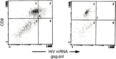 Intracellular HIV 1 Staining Of Neonatal CD8 Cells Neonatal CD8 T