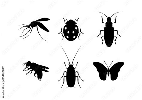 Insect Black Silhouette Icon Set Vector Different Types Of Insects