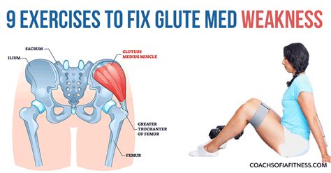 Clam Exercise For Gluteus Medius