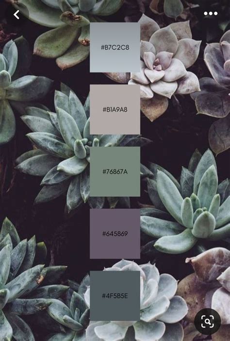 Pin By Andrea On Paletas Colores In 2024 Paint Color Inspiration