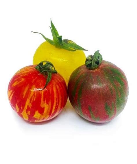 TOMATE TIGRE MIX BANDEJA Comprar Em Agrobonfim