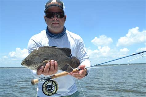 Savannah Hilton Head And Beaufort Fly And Light Tackle Fly Fishing