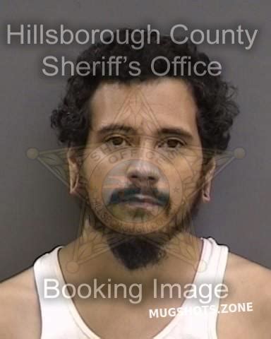 Scholz Jacob Hillsborough County Mugshots Zone