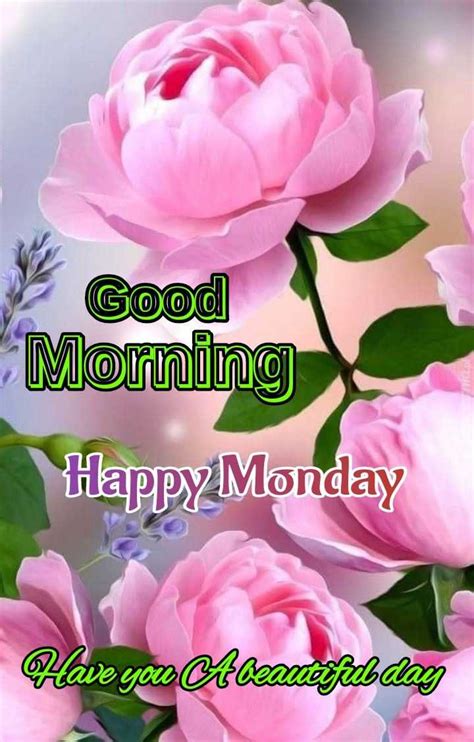 Top 999 Happy Monday Good Morning Images Amazing Collection Happy Monday Good Morning Images