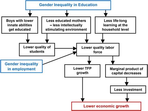 Gender Inequality In Education Selection Distortion And Environment