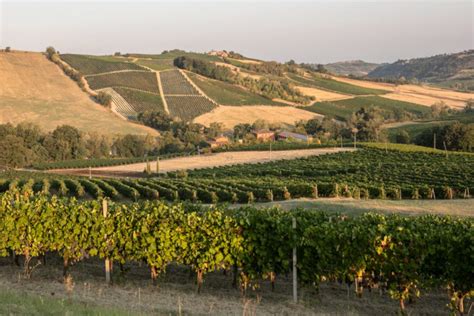 La Genisia Un Connubio Perfetto Tra Vino Cibo E Natura Nell Oltrep