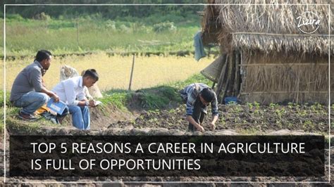 Top 5 Reasons A Career In Agriculture Is Full Of Opportunities