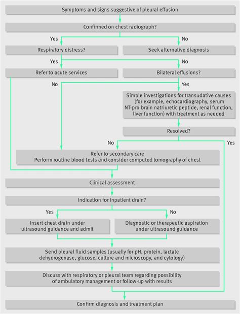 The Modern Diagnosis And Management Of Pleural Effusions The Bmj