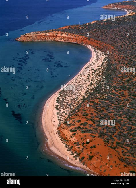 Seagrass bed, dugong habitat Stock Photo - Alamy