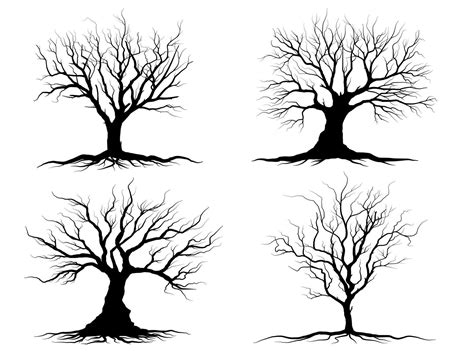 Black Branch Tree Or Naked Trees Silhouettes Hand Drawn Isolated