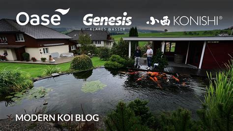 Modern Koi Blog 5742 In Der Schweiz Swens Krasser Und Stark