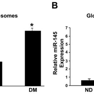 MiR 145 Levels Were Measured By QRT PCR In Both Urinary Exosomes A