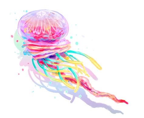 Collection of PNG Jellyfish. | PlusPNG