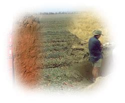 Soil Vro Agriculture Victoria