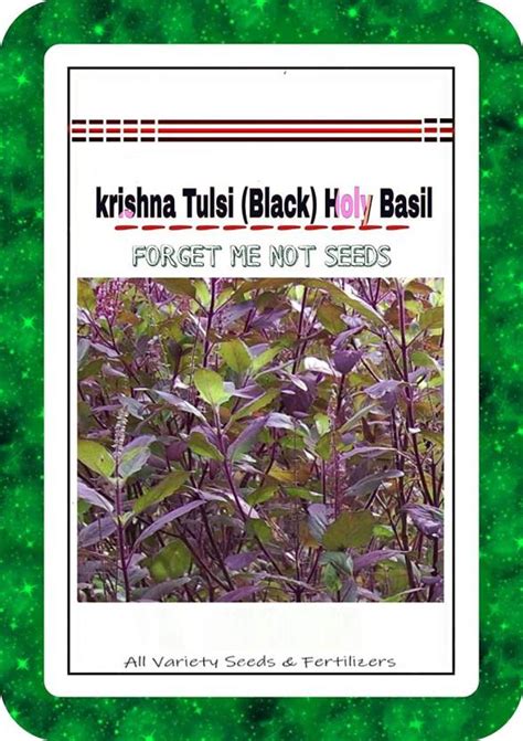 Sedro ™ Vxi 393 Krishna Tulsi Seeds Black Holy Basil Seed Price In