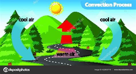 Diagram Showing Convection Process Stock Vector By ©yayimages 622833718