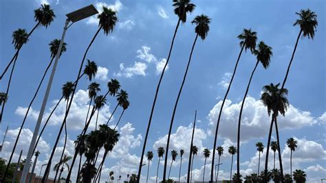 Clima en Los Mochis este miércoles 15 de enero Cielos nublados y