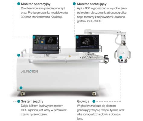 Alpinion Alpius Bezpieczne Leczenie Mi Niak W Macicy Dzi Ki Hifu Usg