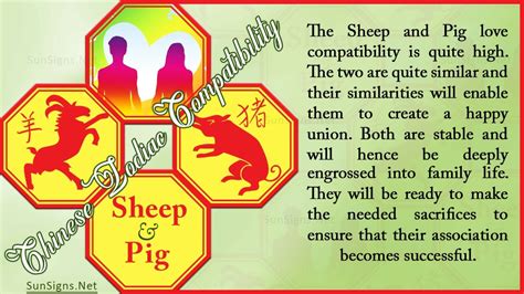 Sheep Pig Compatibility: Cozy Loving and Laid Back - Zodiac Signs 101