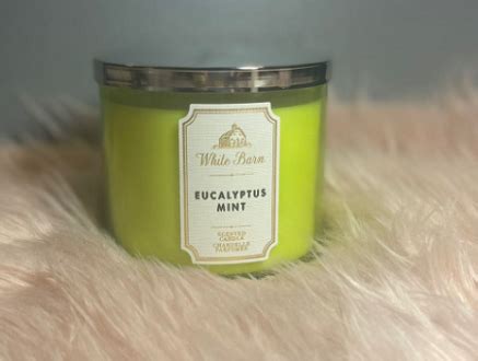 Bath Body Works Eucalyptus Mint Candle Lazada