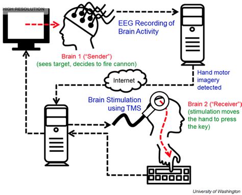 Brain To Brain Communication At The University Of Washington Emerj