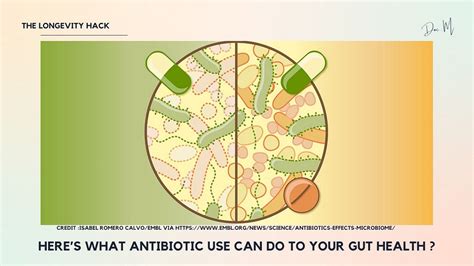 Here’s What Antibiotic Use Can Do To Your Gut Health? | by Marcus Ranney | Medium