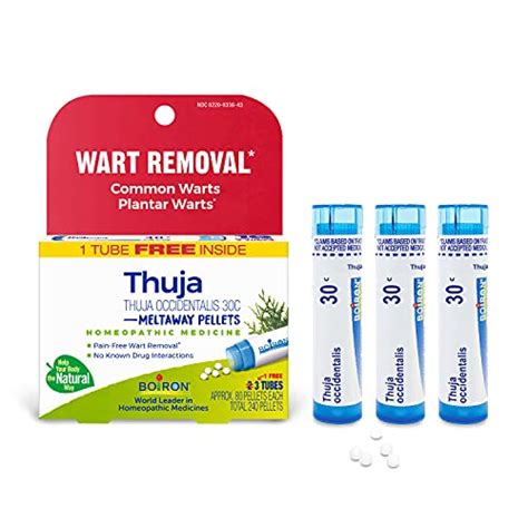 10 Best Herbal Remedies For Wart – Review And Recommendation – PDHRE