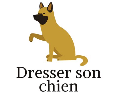 Apprenez à dresser votre chien avec ces étapes faciles à comprendre