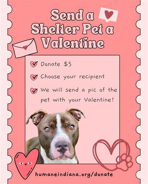 Ways To Celebrate Valentines Day With Shelter Dogs The Dogington Post