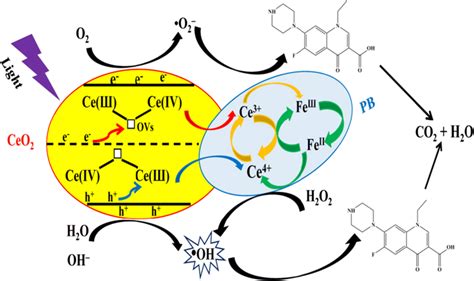 The Schematic Model For The Heterogeneous Fenton Like Catalytic Nor By