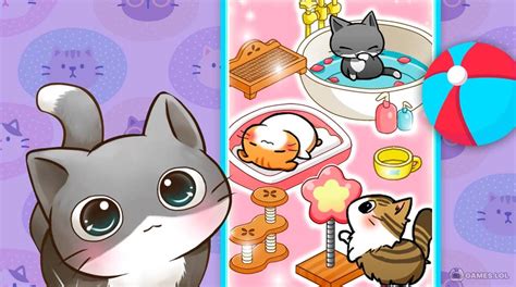 Cat Room Cute Cat Games