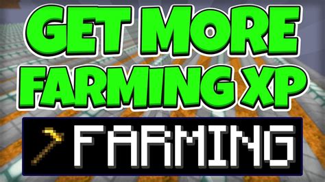 The FASTEST WAY To Get Farming XP In Hypixel Skyblock YouTube