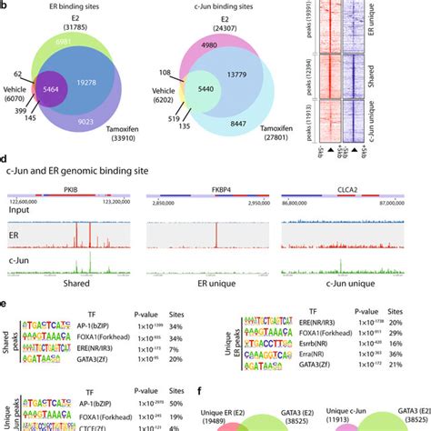 Tgfbi Expression Is Upregulated In Human Breast Cancer A B Tgfbi