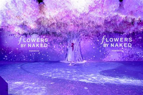 日本NAKED FLOWERS花舞光影展4月登港早鳥優惠 120起 附購票連結