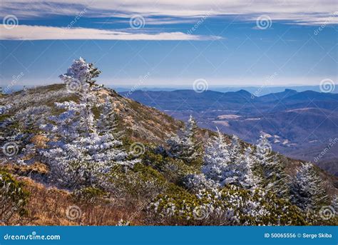 Roan Mountain Winter Hike 7 Stock Photo Image Of Cold Outdoors 50065556