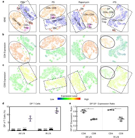 Rps Induce Dp Cd Bright Cd Dim T Cells With Suppressor Functions In