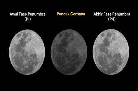 Cara Melihat Gerhana Bulan Penumbra Mei Link Dan Waktunya