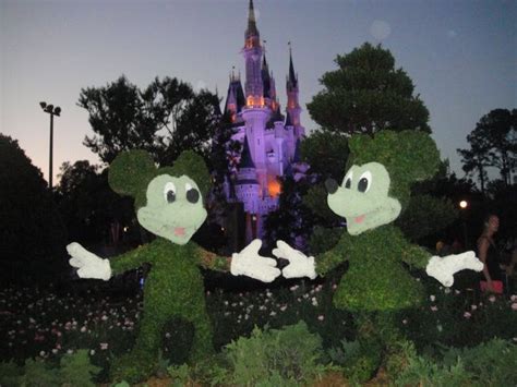 Disney world topiary | Disney world, Magic kingdom, Disney