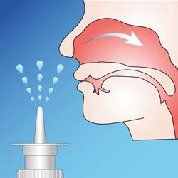 Allergic Fungal Sinusitis - Raleigh Capitol Sinus & Allergy Center