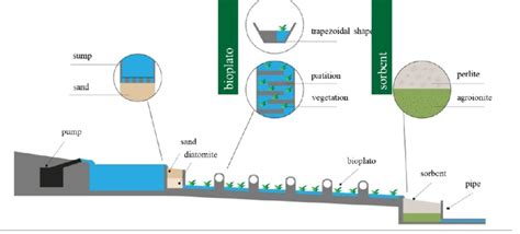 Schematic representation of a biosorptional structure. | Download ...