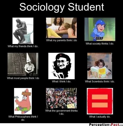 Sociology: What I Do! Memes - The Sociological Mail