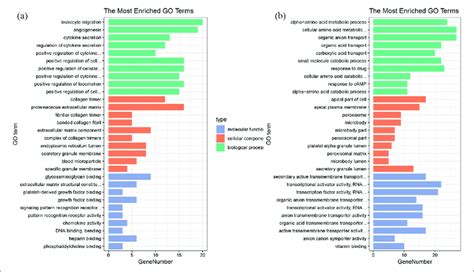 The Top 10 Terms In Each Gene Ontology Go Analysis The Vertical