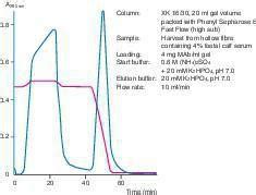 Phenyl Sepharose Fast Flow High Sub Hydrophobic Interaction