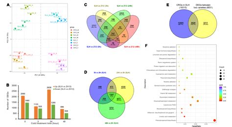 Figure From Integrated Transcriptomics And Metabolomics Analysis