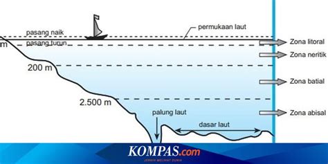 4 Zona Kedalaman Laut Beserta Penjelasannya