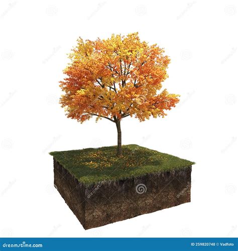 Autumn Tree Isolated On White Background Stock Illustration