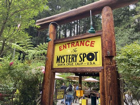 Visiting The Mystery Spot In Santa Cruz California Touristsecrets