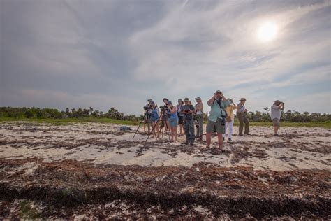 Birding Tours Of Cuba In 2019 From Birdscaribbean Birdscaribbean