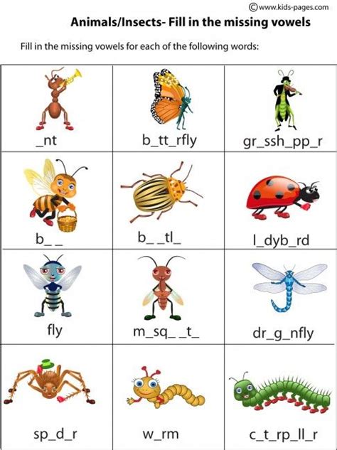 Insects And Bugs Worksheets Insect Worksheet Vocabulary Work